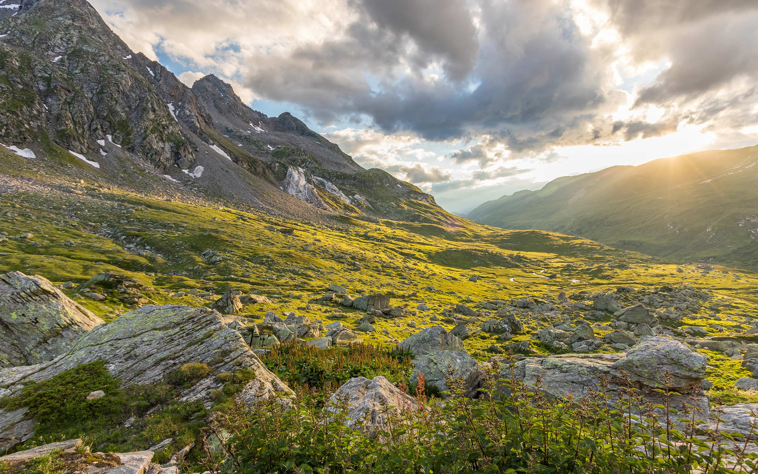 Pro-Alps-Dankesseiten-2_web