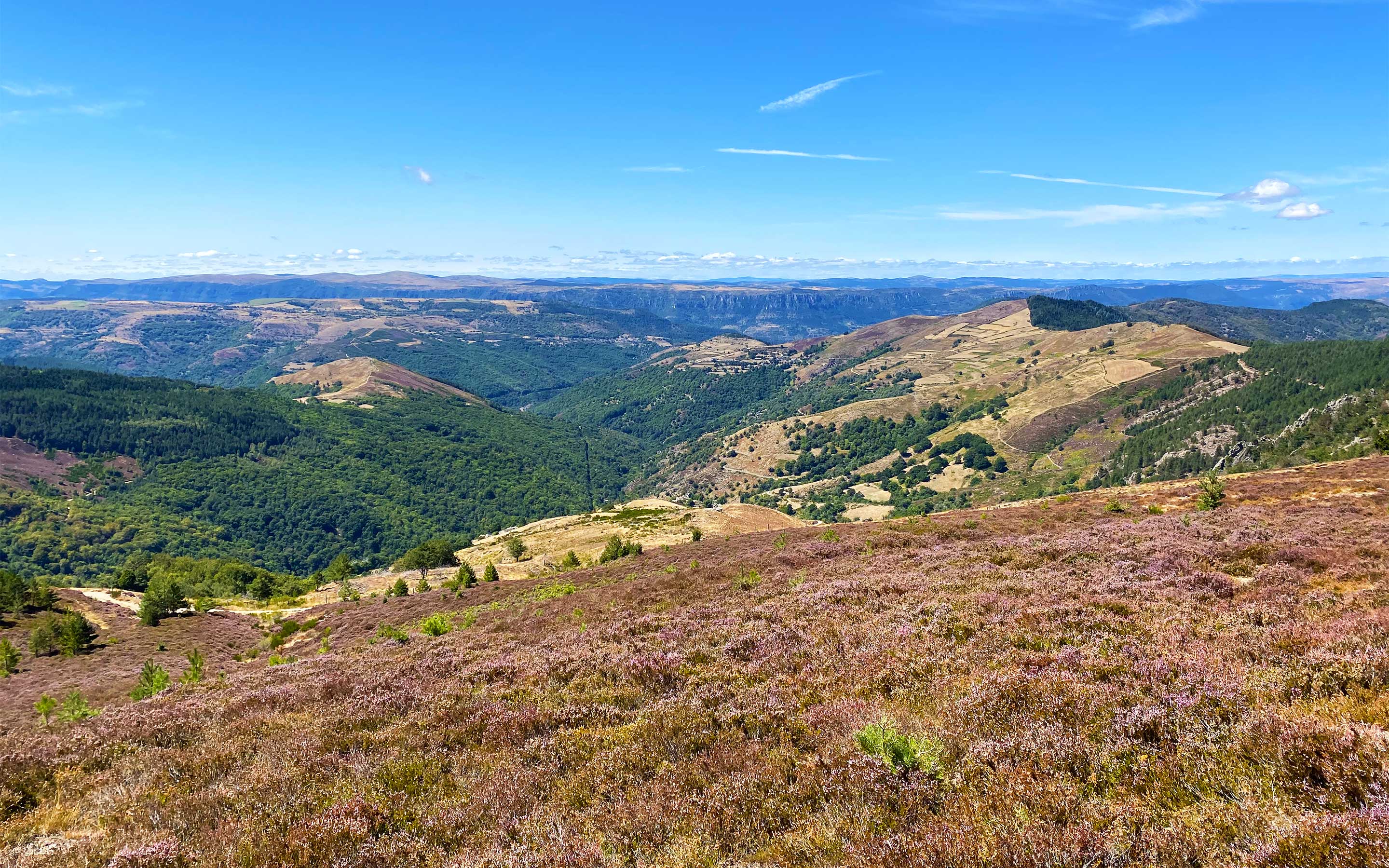 cevennen-wanderferien-gruppe-gefuehrt-gross-edit-1