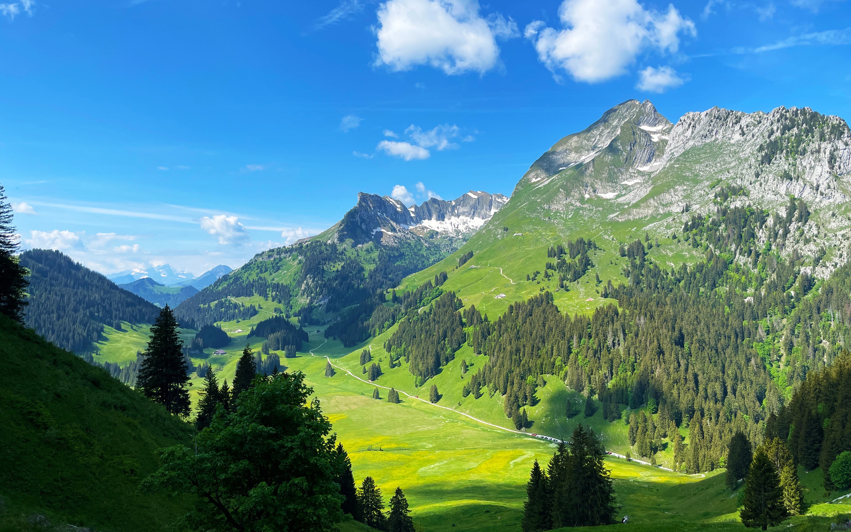 freiburger-voralpen-wanderferien-gruppe-gefuehrt-gross-edit-2