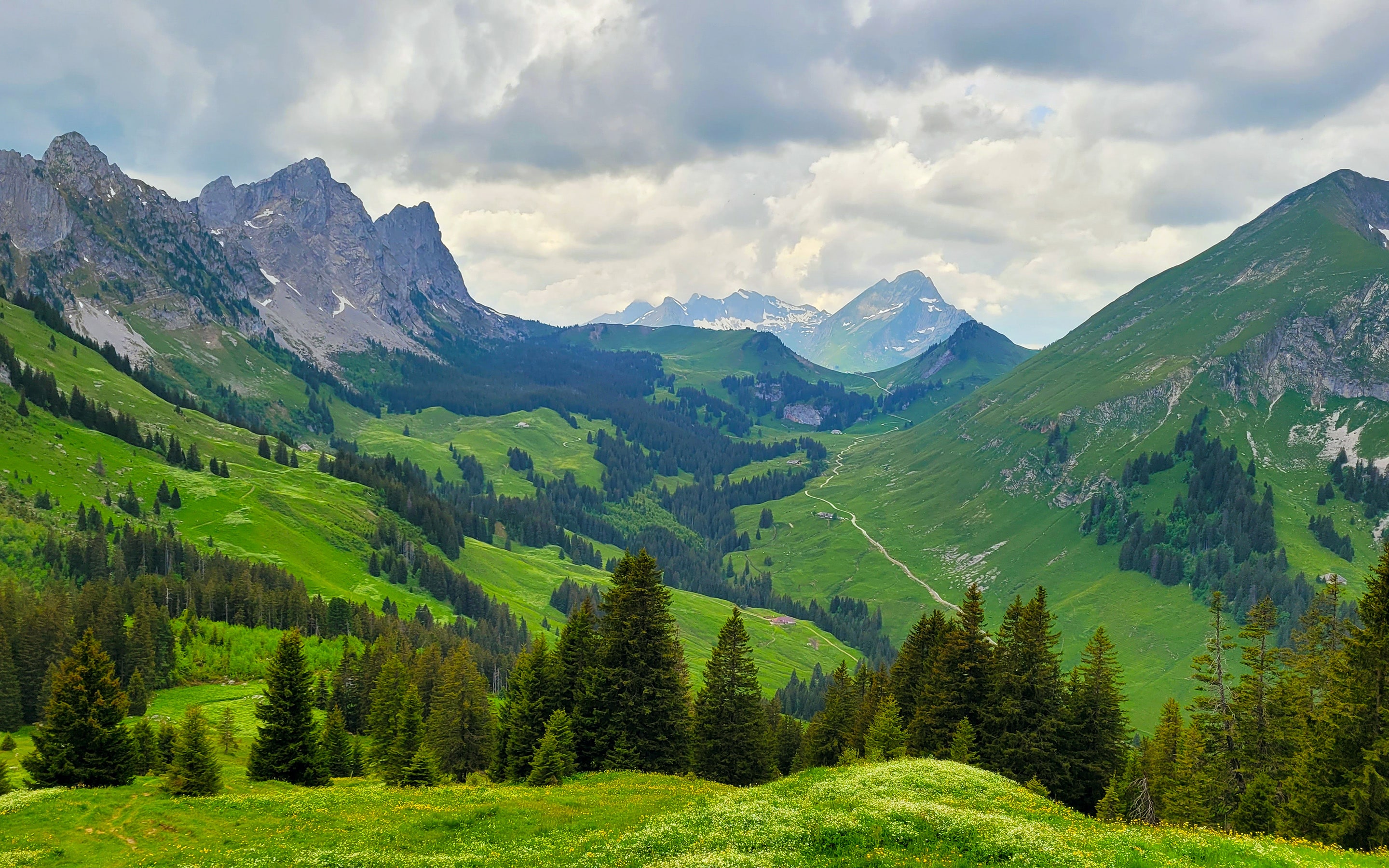 freiburger-voralpen-wanderferien-gruppe-gefuehrt-gross-edit-6