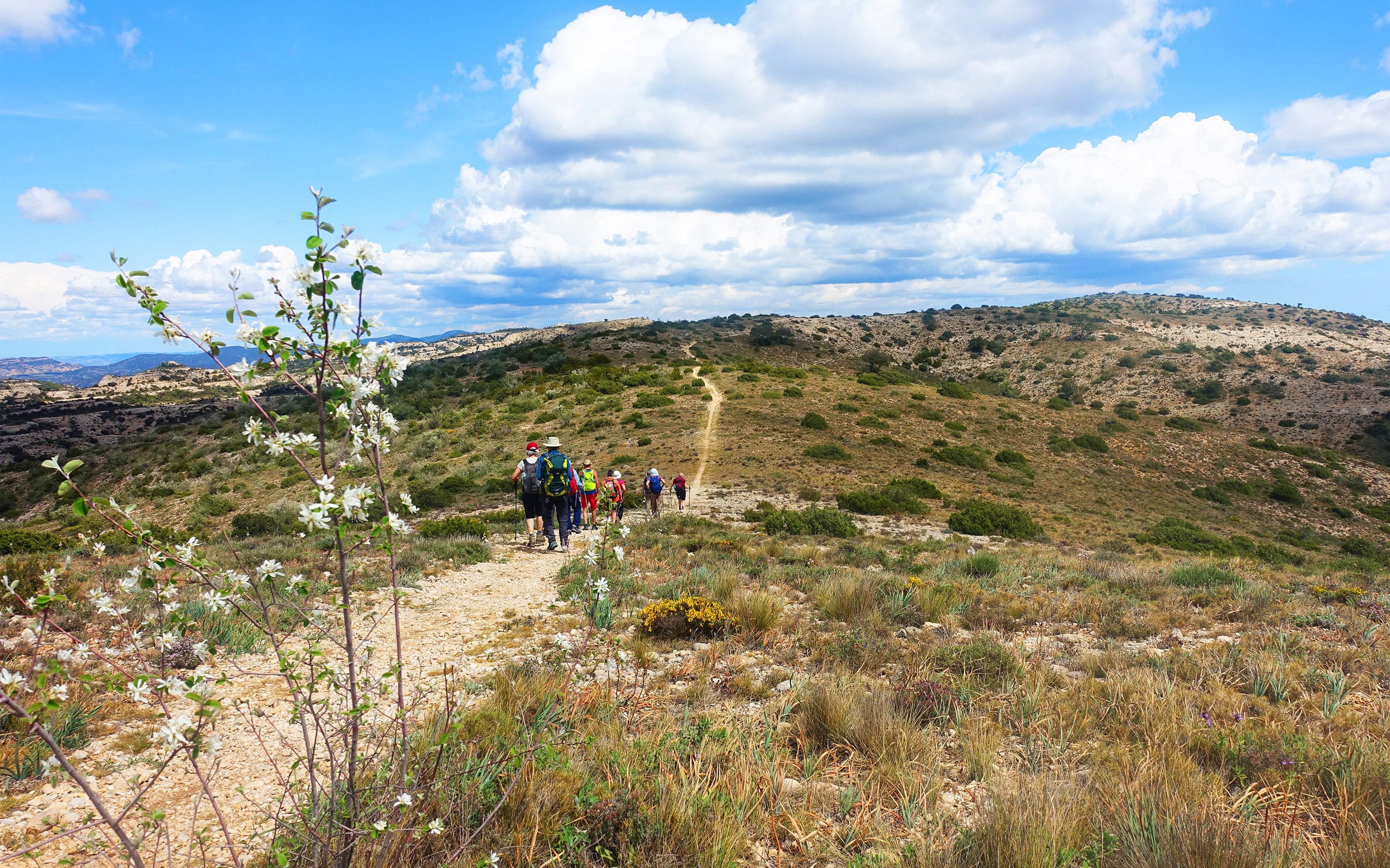 katalonien-wanderferien-gruppe-gefuehrt-gross-3_montsant-hochebene-ausblick-edit