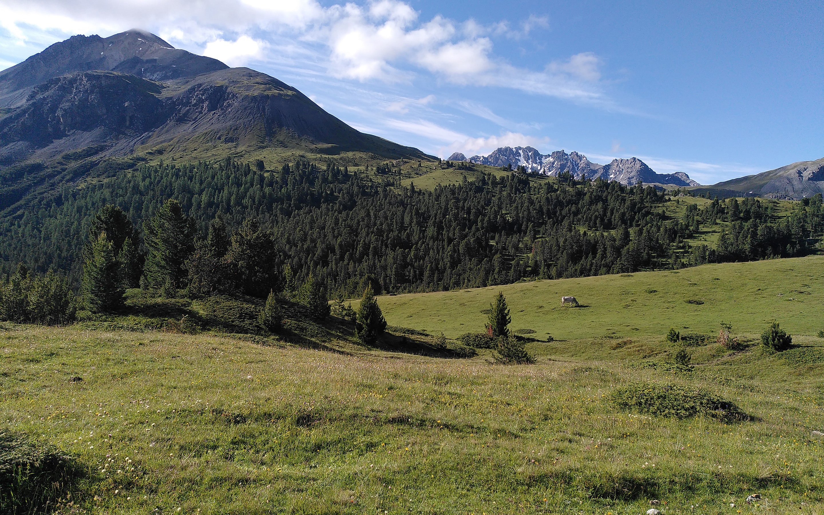 Vielfalt im Unterengadin Scuol – Zernez