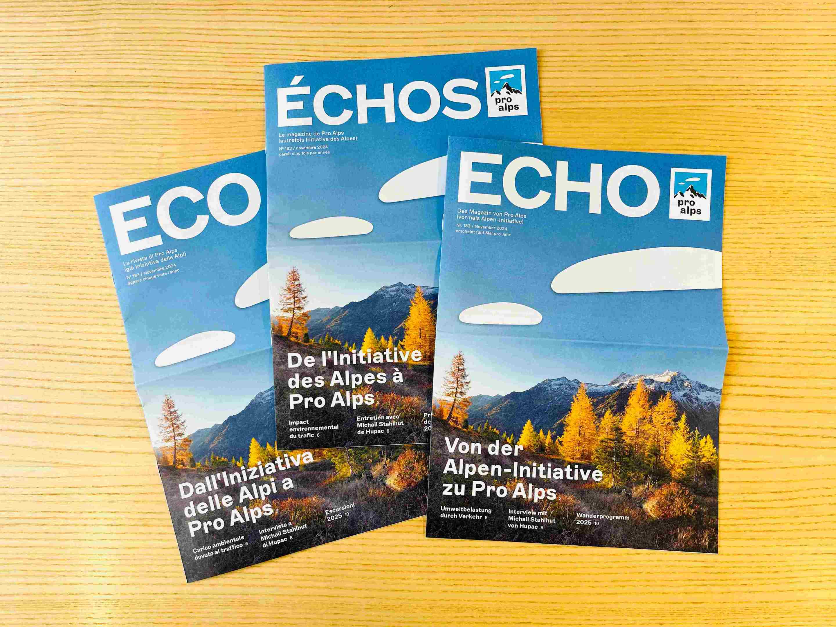 Echo Pro Alps