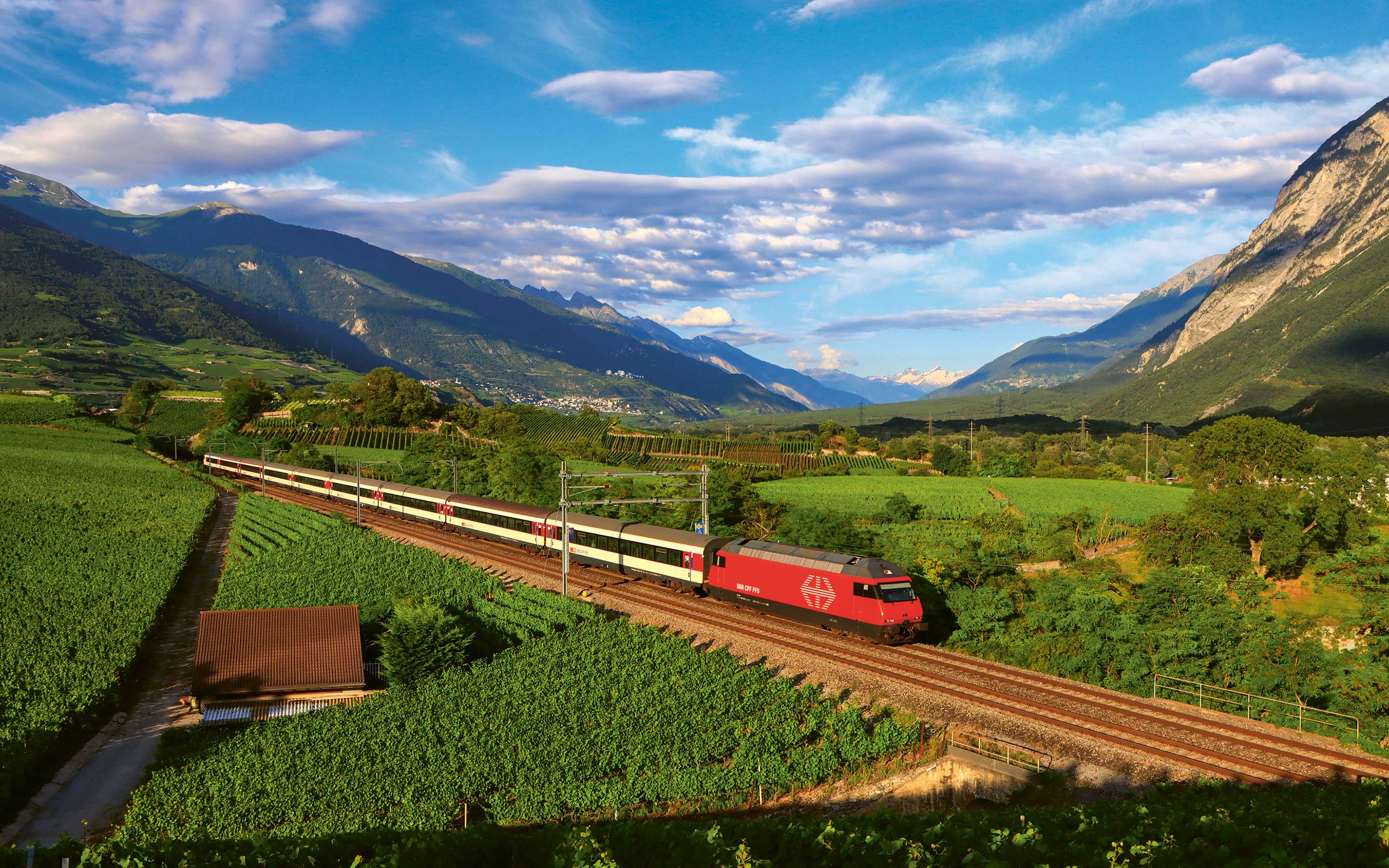 Filip-Rozicki_Alpenblumen-Landschaft-(35)_webk