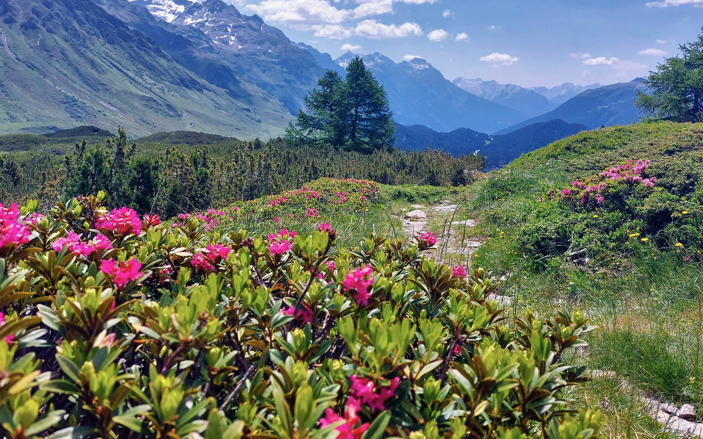 Wanderungen-2026-Header