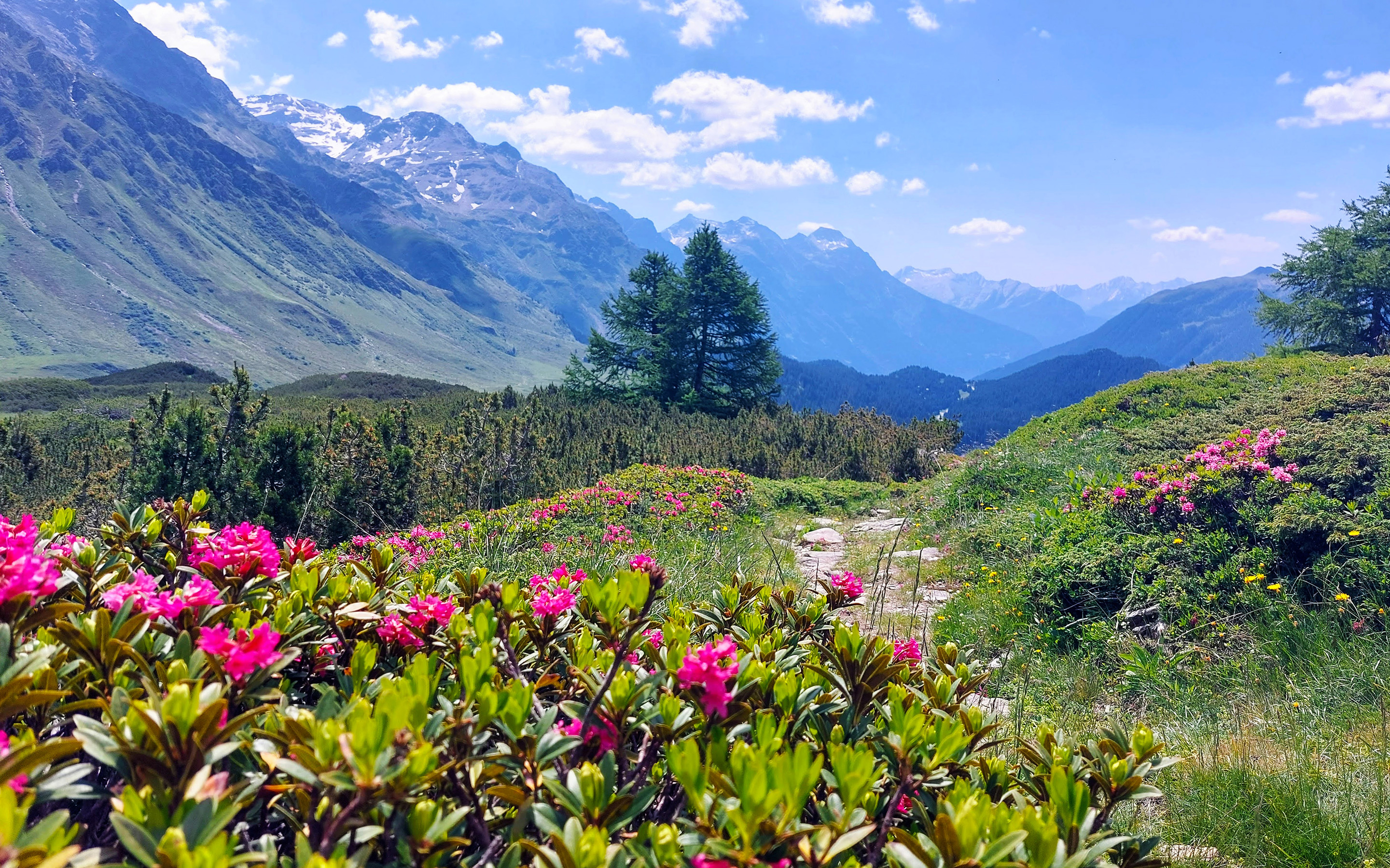 Misox-ValCalanca-wanderferien-gruppe-gefuehrt-header-1