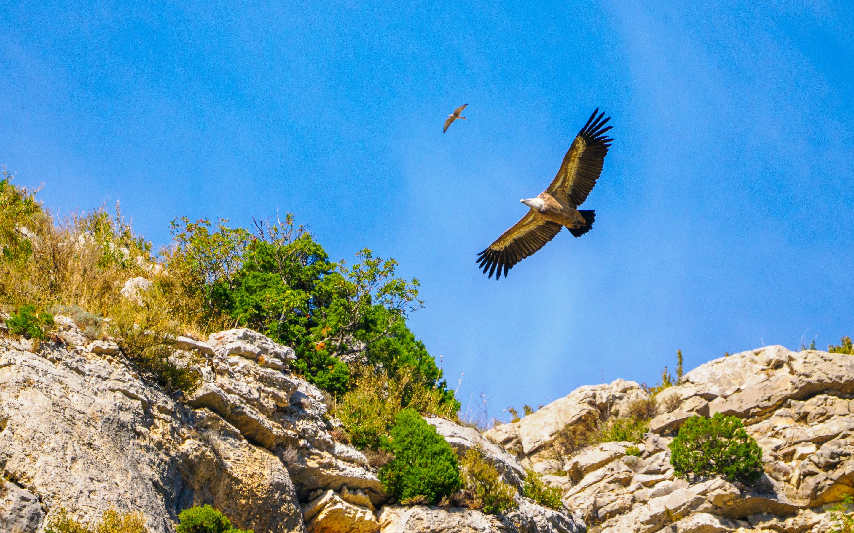 baronnies-wanderferien-schweiz-gruppe-gefuehrt-header-1