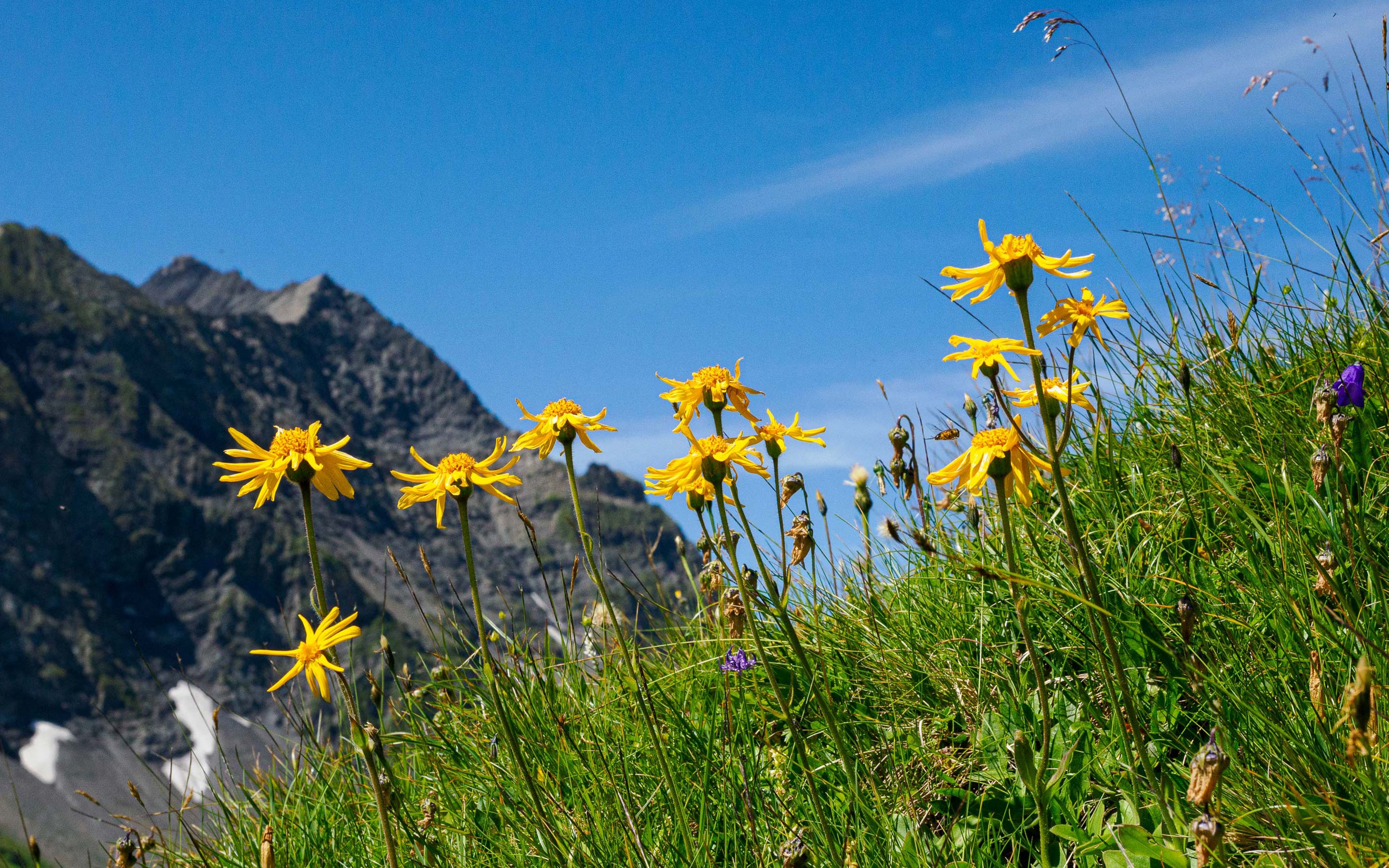 tektonikarena-sardona-wanderferien-gruppe-gefuehrt-header-(1)