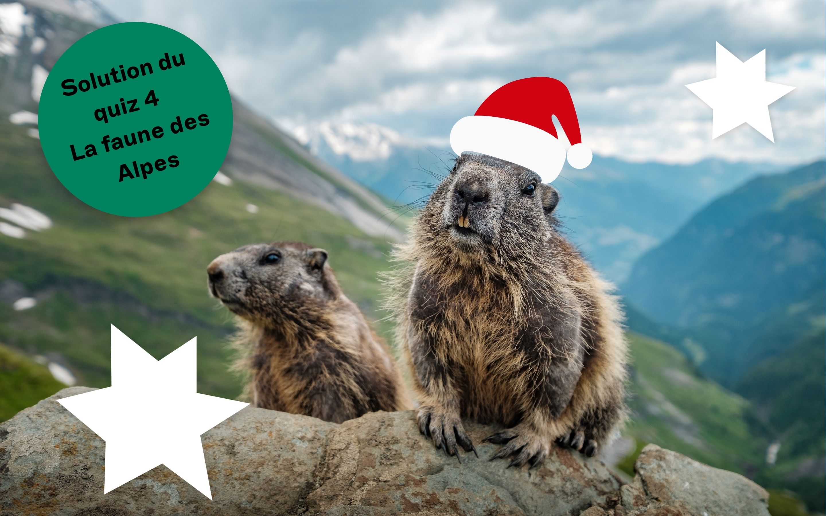 Post 4 Quiz Tierwelt in den Alpen FR