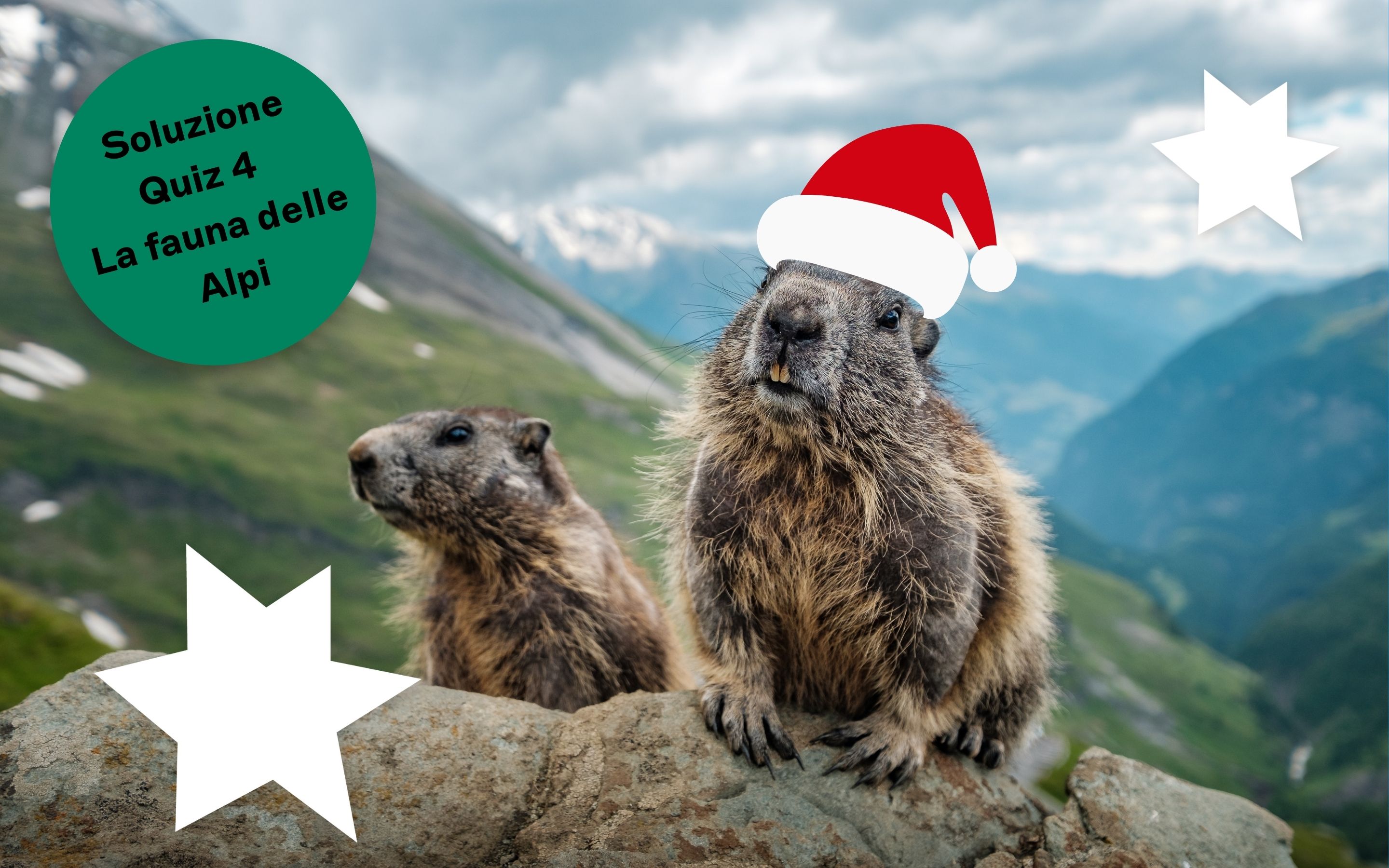 Post 4 Quiz Tierwelt in den Alpen